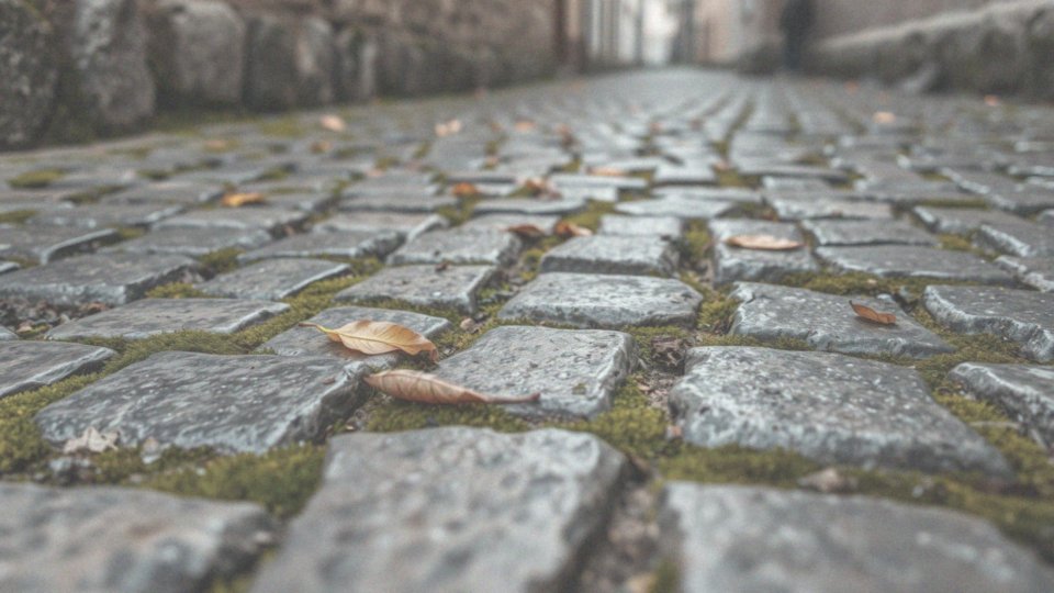 Jakie są kolory i rozmiary kurzajek?